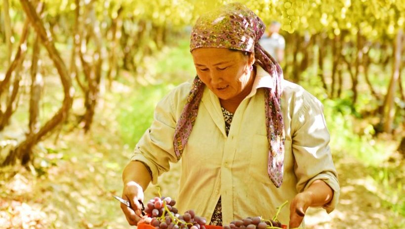 15-oktyabr – Xalqaro qishloq ayollari kuni