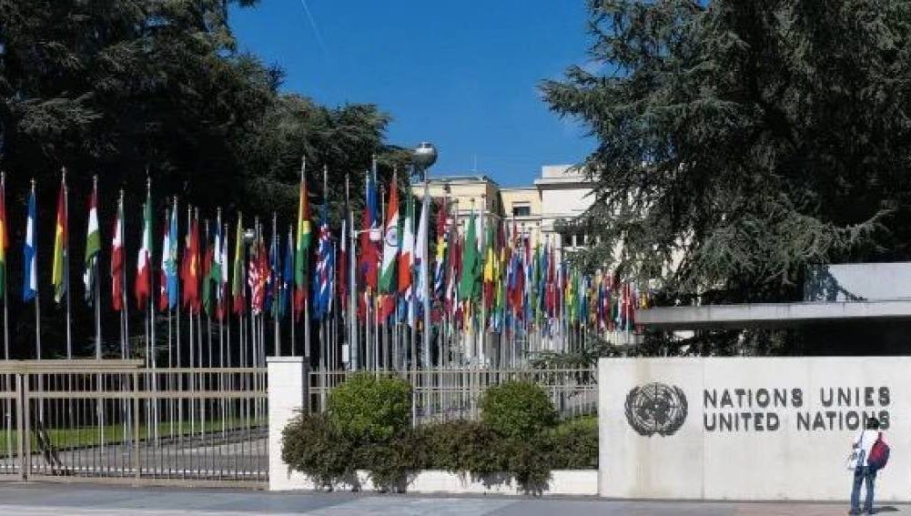Universal davriy sharh bo‘yicha ekspert bahosi beriladi