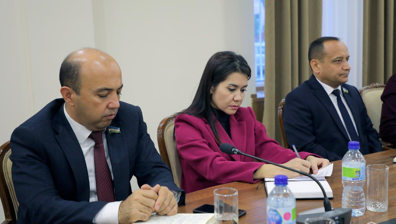 Tengsizlikning barcha ko‘rinishlarini qisqartirishga qaratilgan chora-tadbirlar