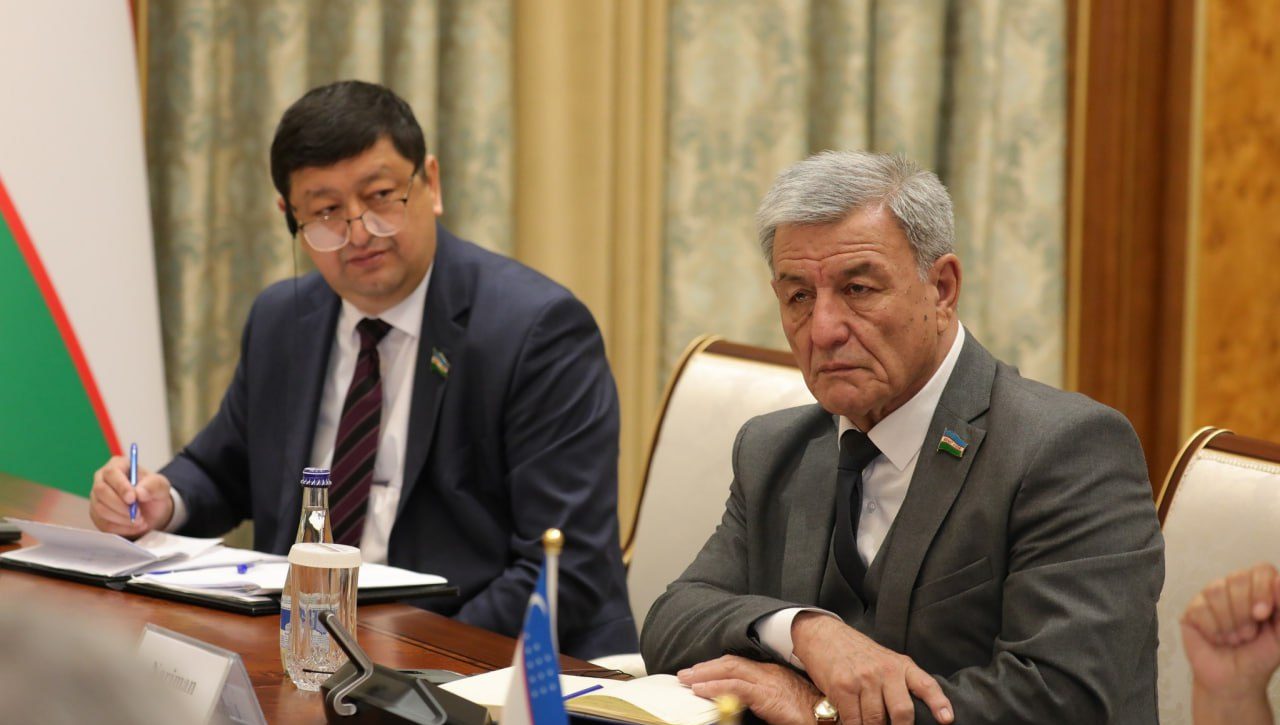 Senat Raisi BMT Inson huquqlari bo‘yicha Oliy komissari bilan uchrashdi