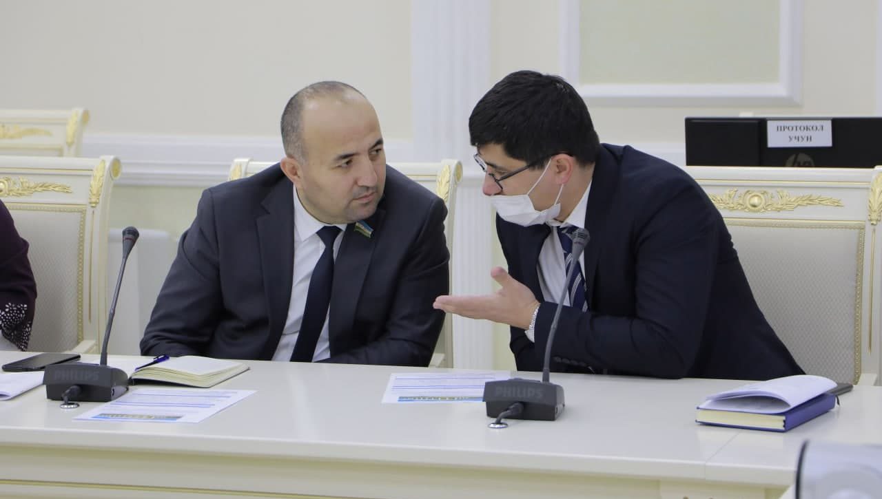 Yangi O‘zbekiston taraqqiyot strategiyasi va tashqi siyosat:  maqsad-vazifalar ijrosida parlamentning o‘rni