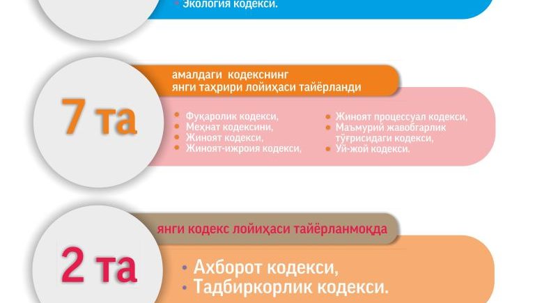 Инсон ҳуқуқлари бўйича Ўзбекистон Республикаси Миллий стратегияси "Йўл харитаси"нинг амалга оширилиш ҳолати