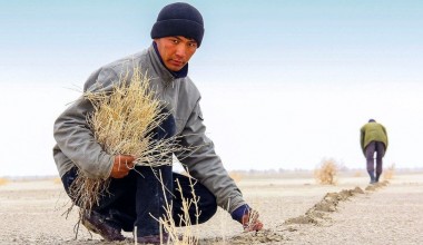 Генеральная Ассамблея ООН приняла резолюцию о борьбе с экологическими проблемами в Центральной Азии