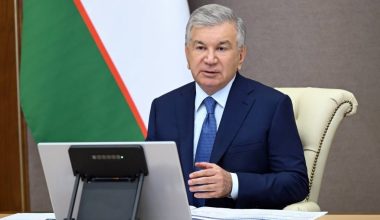 Приоритетом в реализации проекта «Яшил макон» станет уход за деревьями и их приживаемость