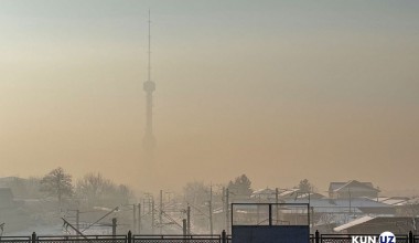 Nosog‘lom va zaharli 65 kun - Toshkent havosini ifloslaydigan omillarning uzoq muddatli tahlili