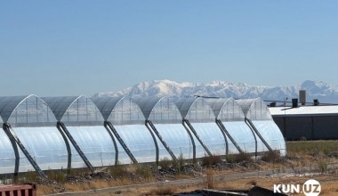Ўзбекистонда 2030 йилгача ҳавога исcиқхона газлари чиқарилишини 35 фоизга камайтириш режалаштирилмоқда