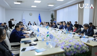 Konstitutsiya va deklaratsiya: Inson huquqlarini oliy qadriyatga aylantirgan hujjatlar (+video)