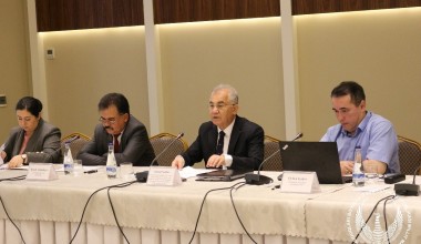 Nogironlar huquqlari to‘g‘risidagi konvensiya qoidalarini amalga oshirishda davlat organlarining roli