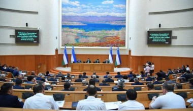 Первый день пленарного заседания Сената Были приняты два закона о правах женщин