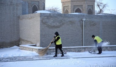 Ўзбекистонда қанча меҳнатга лаёқатлилар бор? Изоҳ