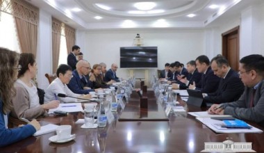 БМТнинг Инсон ҳуқуқлари бўйича Олий комиссари Оролбўйида