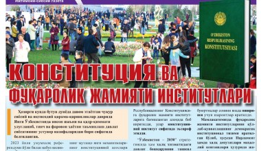 KONSTITUTSIYA VA FUQAROLIK JAMIYATI INSTITUTLARI